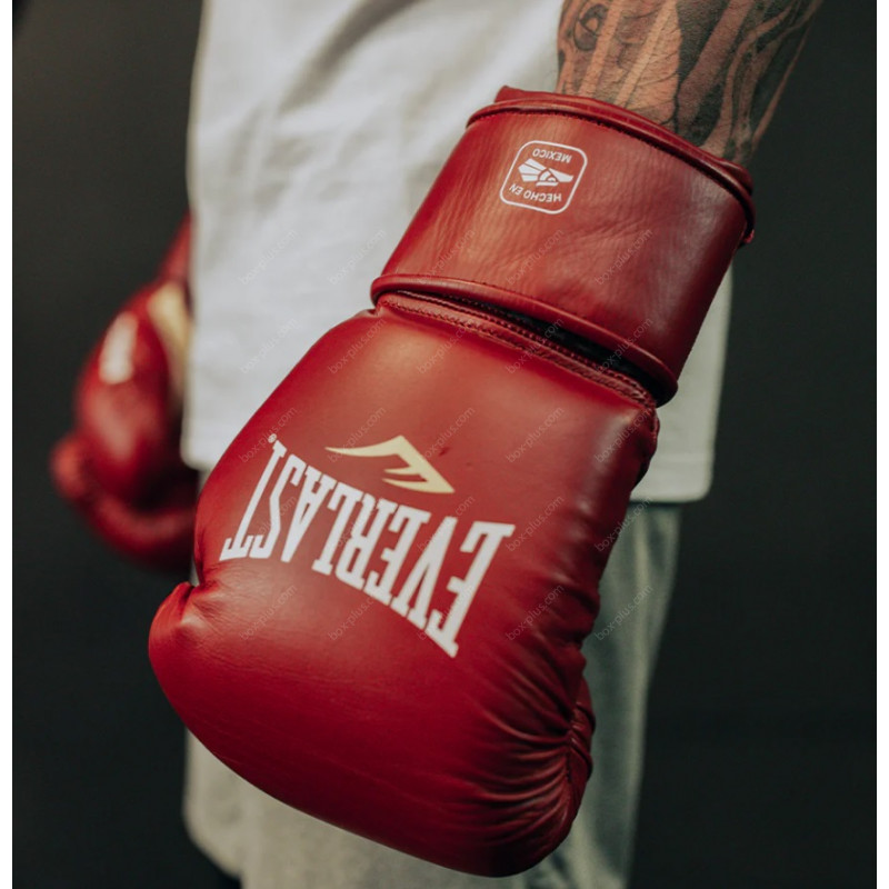 Перчатки для бокса Everlast MX2